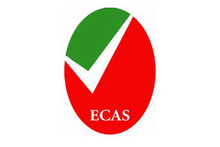acheter Normes internationales Émirats arabes unis ECAS Certification Laboratoire de conformité LCS online manufacture