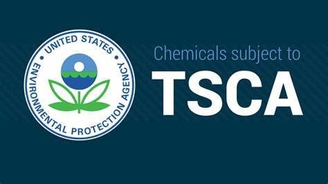 Exigence Amazon: produits chimiques persistants, bioaccumulatifs et toxiques (PBT) au titre de la section 6 ((h) de la TSCA